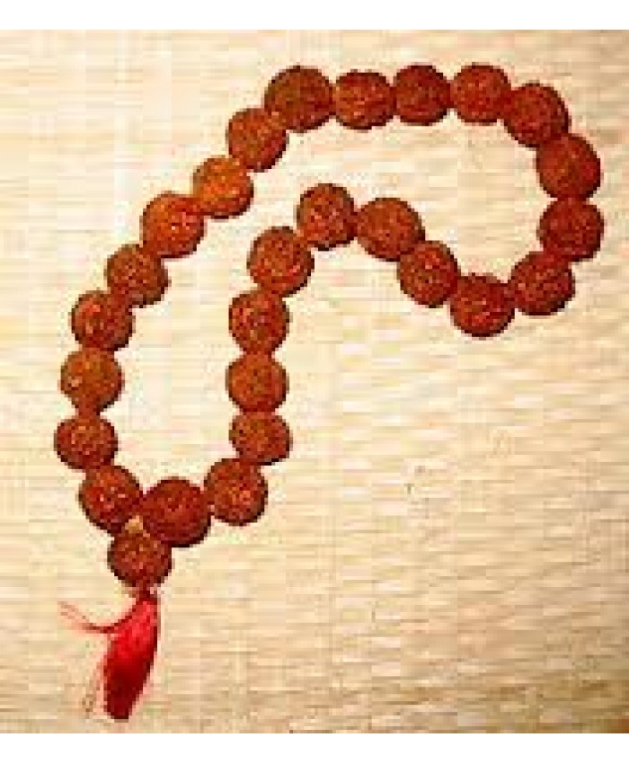 Rudraksha Mala Small